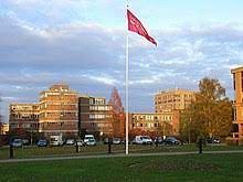 reading university